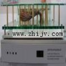 ICT�ξ�